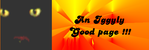 The Prestigious Iggy Award